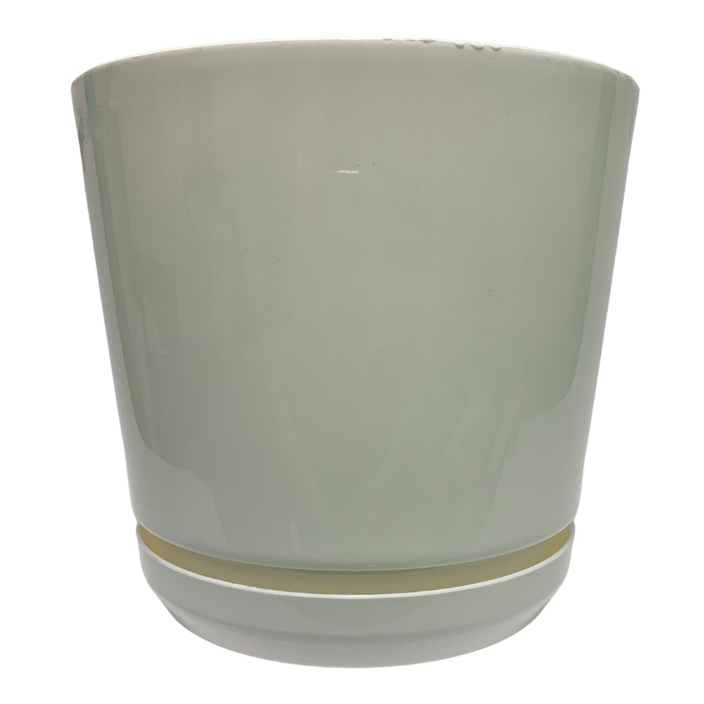MATERO Y PLATO PP ART CIL LISO D-20 BLANCO DP