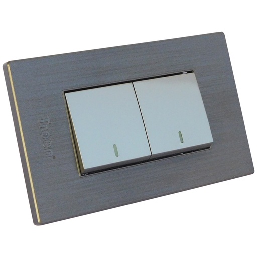 [8264] APAGADOR DOBLE PLATEADO TROEN