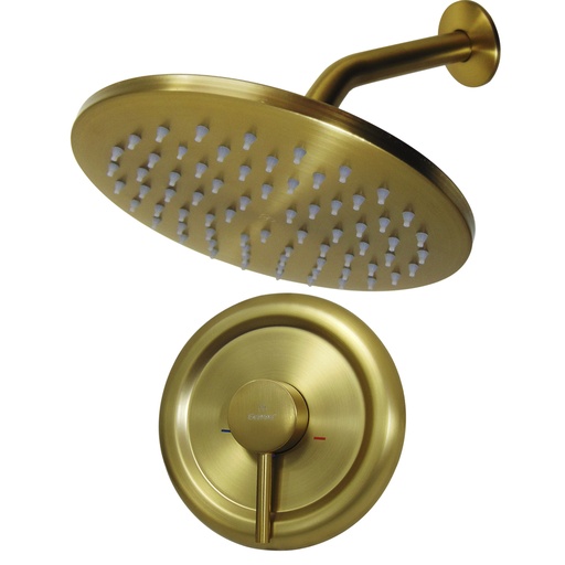 [9837] SET DE REGADERA CON LLAVE MONOMANDO GRIVEN GOLD