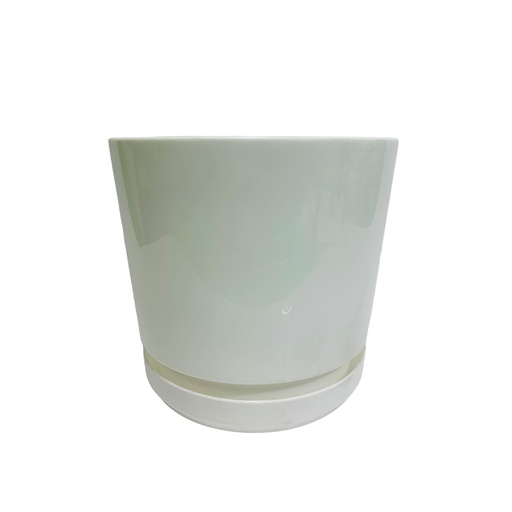 [11499] MATERO PLATO PP ART CIL LISO D-15 BLANCO DP