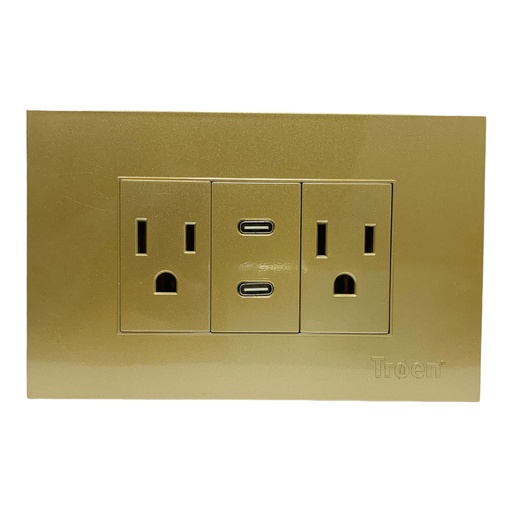 [11673] TOMACORRIENTE DOBLE CON 2 TIPO C DORADO TROEN