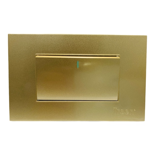 [11705] APAGADOR INDIVIDUAL 3 WAY DORADO TROEN