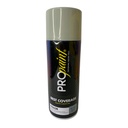 PINTURA EN SPRAY GRIS CLARO PRO PAINT