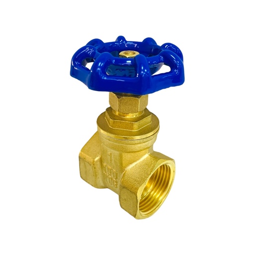 [12731] VALVULA COMPUERTA 1" GRIVEN