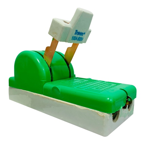 [10971] CUCHILLA ELECTRICA 1 PASE 2 POLOS X 100A TROEN